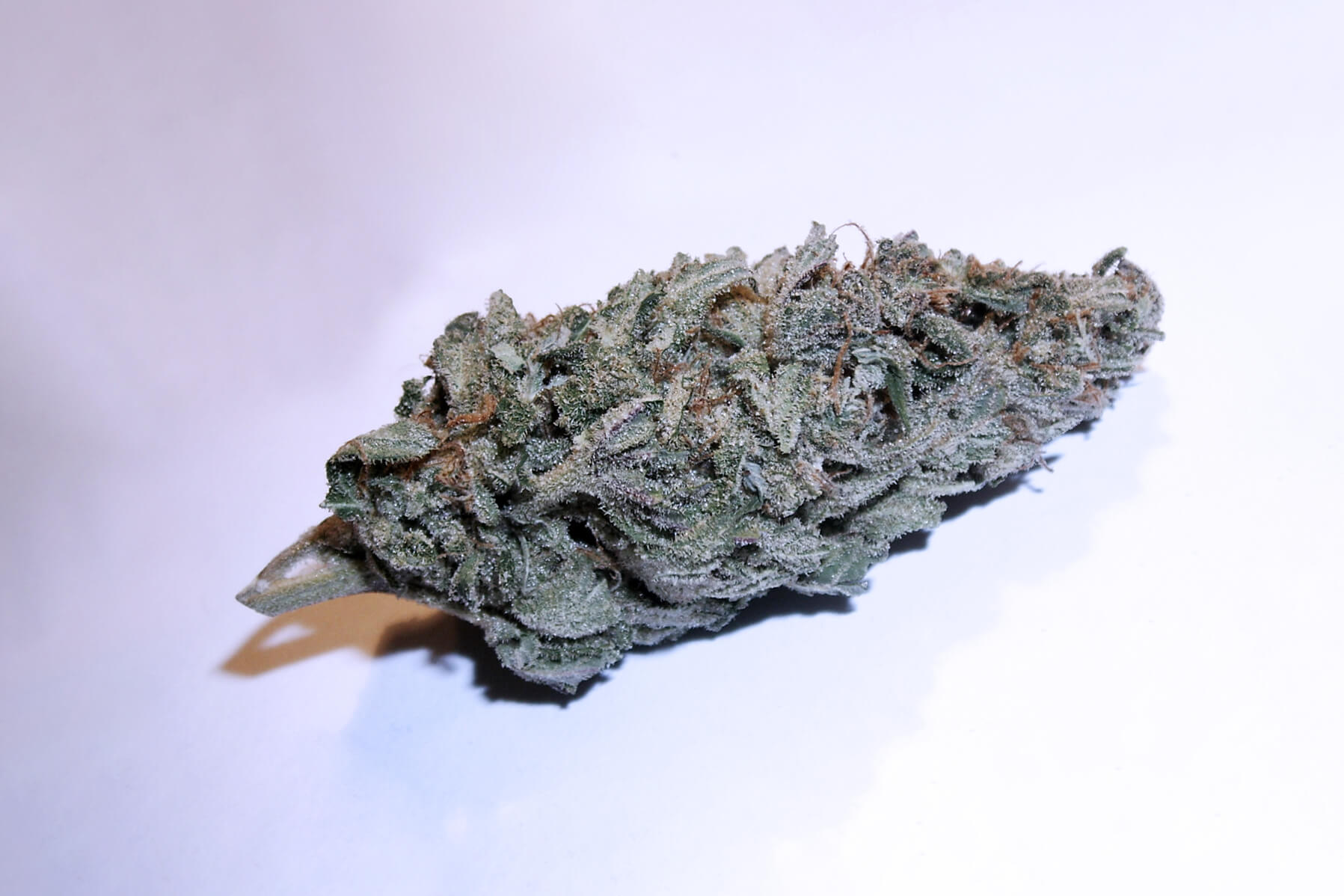 Buy Unrivaled Strains Online at JustCannabis