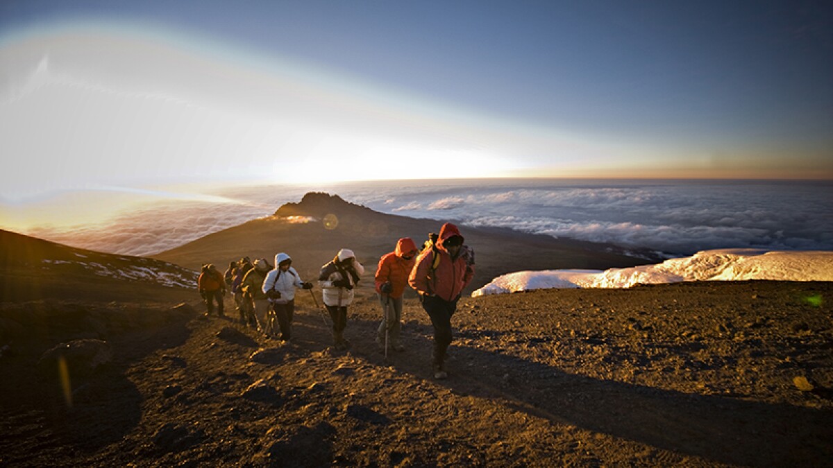 Trek to the Top: Kilimanjaro Adventure with Peak Planet