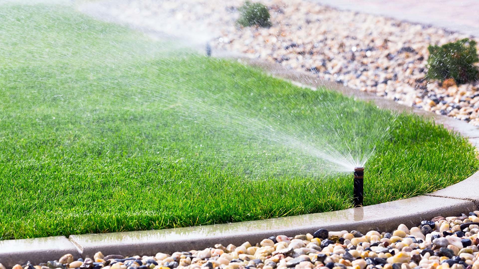Mission Viejo CA Sprinkler Repair Services: Your Trusted Solution!